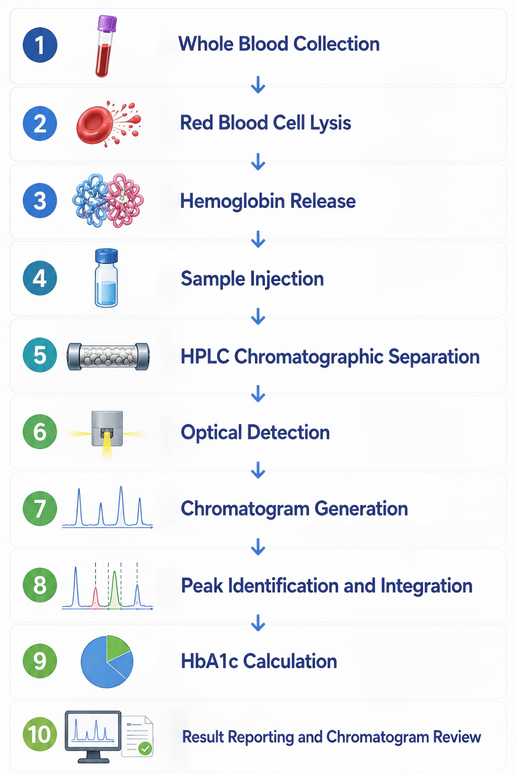 HPLC HbA1c Testing From Sample to Result 2.png