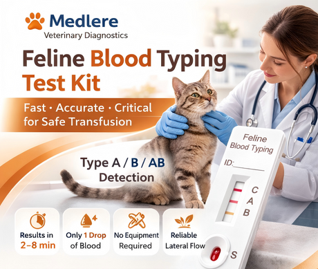 Feline blood type.png